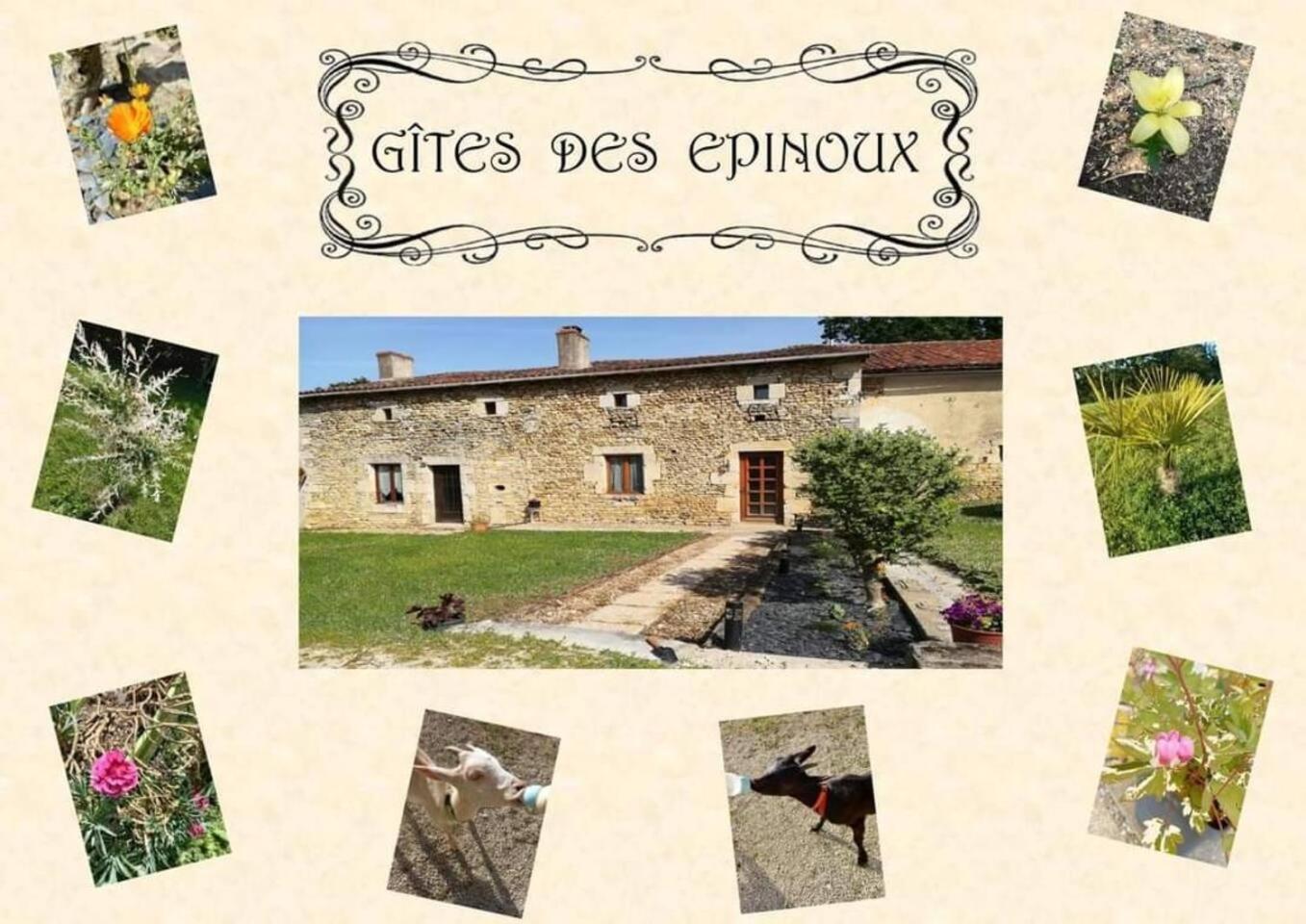 Vila Le Papillon Savigne Exteriér fotografie